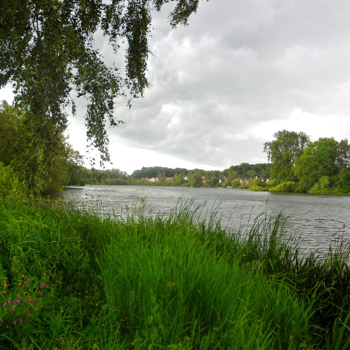 Grünes Ufer und Wasser des Kirchsees in Preetz